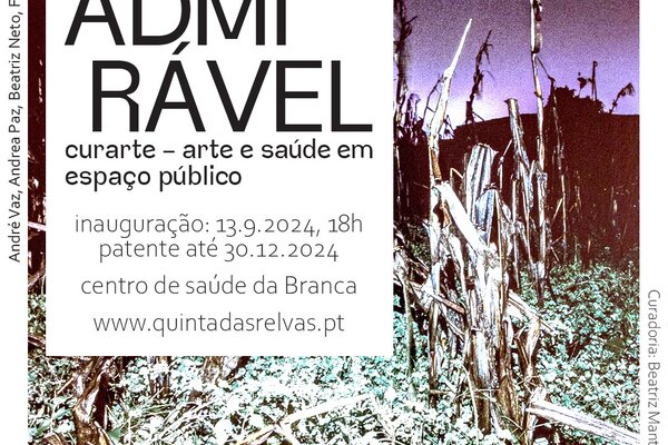 admiravel_novo_poster_recuperado