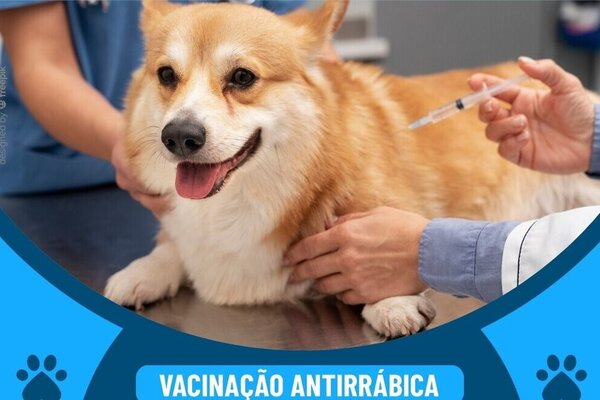 vacinacao_antirrabica_2024