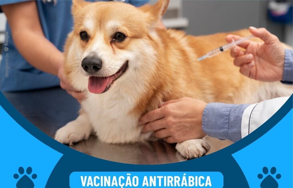 Edital Profilaxia Vacinação Antirrábica 2024