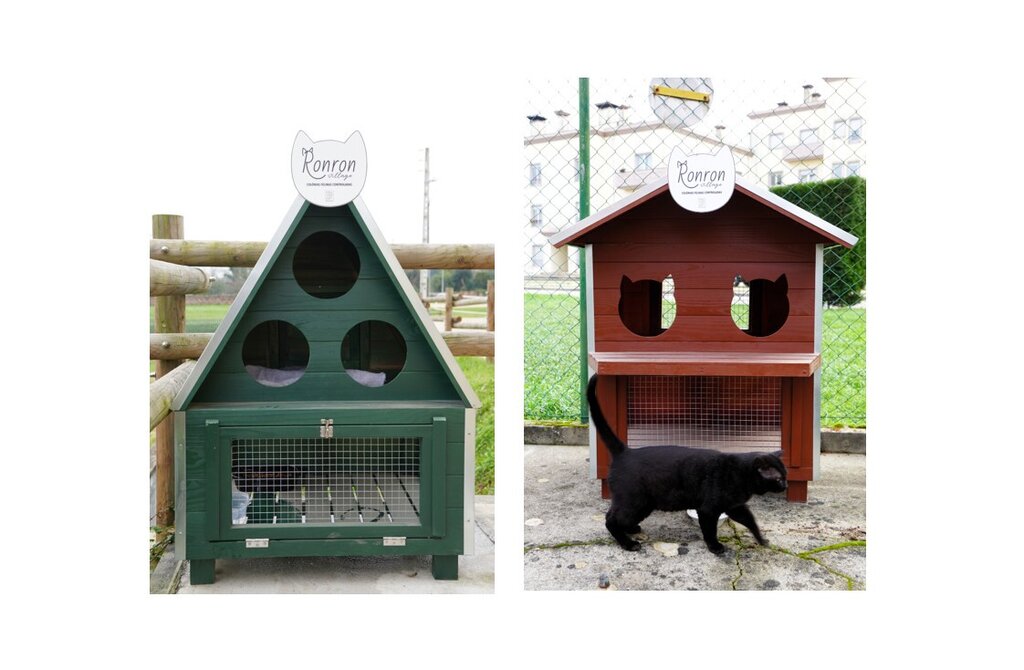 Município instala novos abrigos para colónias de gatos