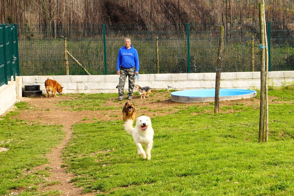 CROAA instala parque de exercícios para cães