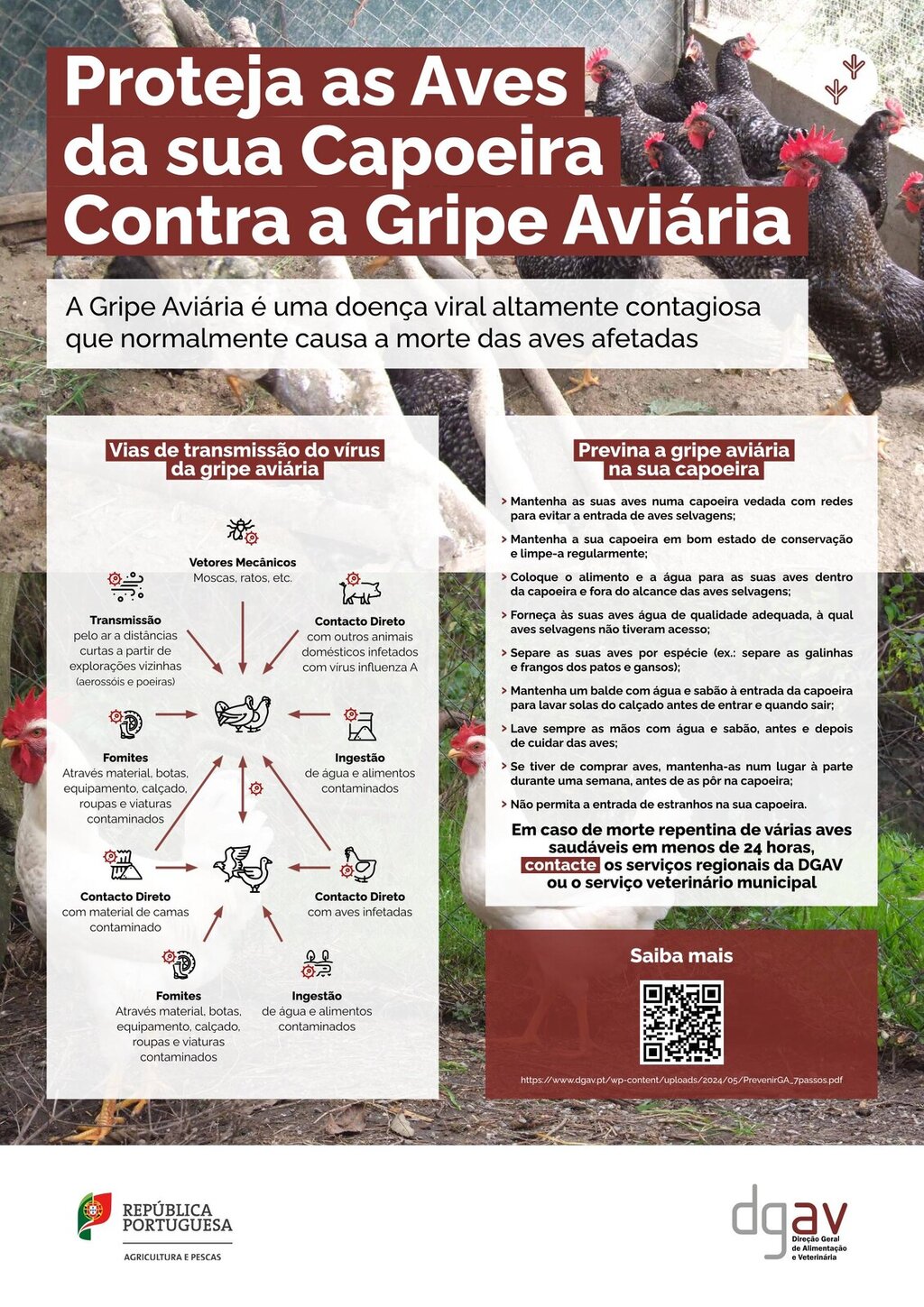 DSPA_Cartaz_GAAP-1